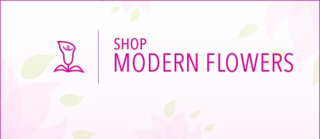 Beautiful Seasonal Flowers Banner